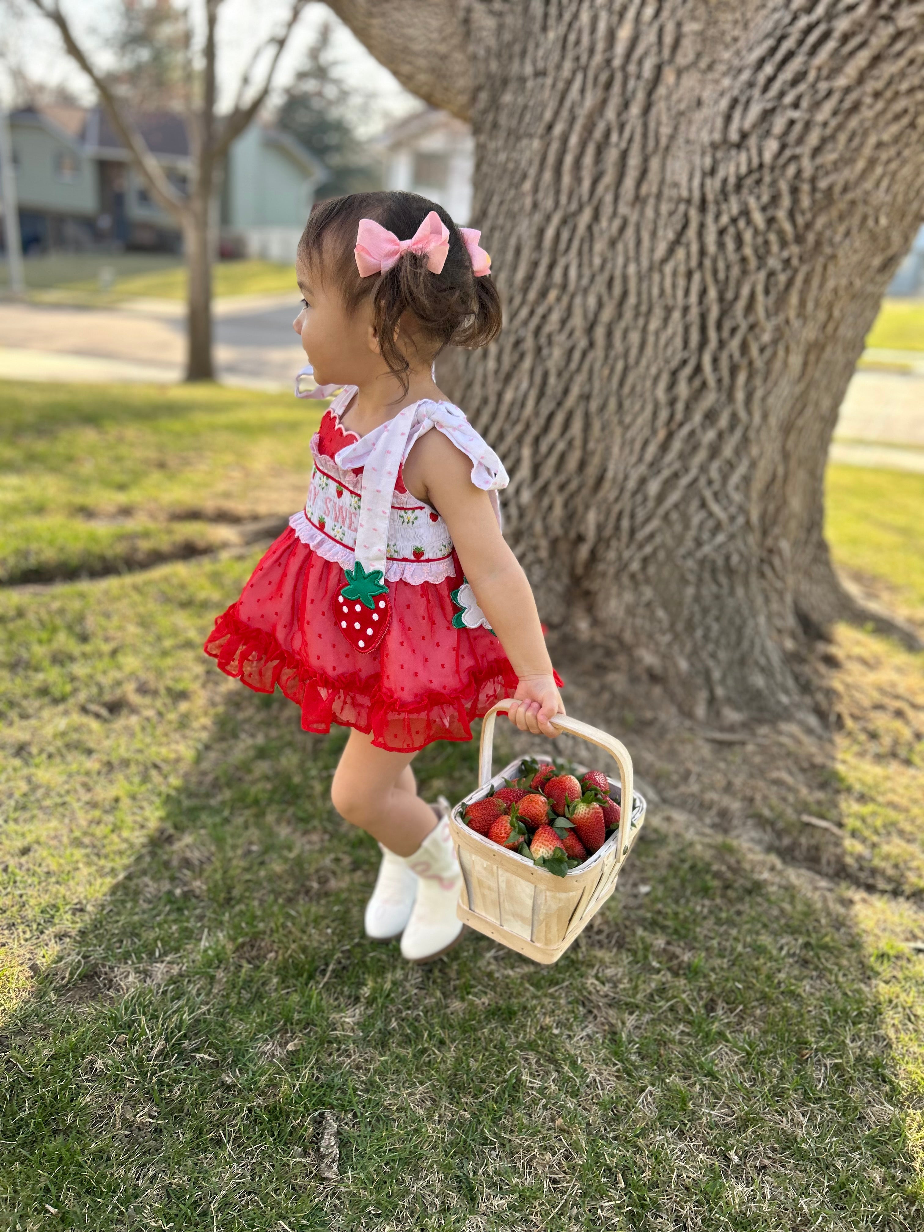 RTS Berry Sweet Diaper Set